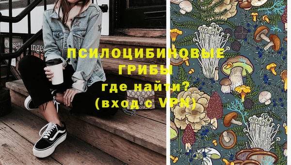 прущая мука Арсеньев