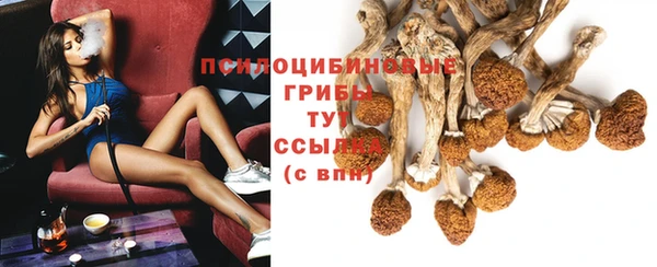 прущая мука Арсеньев