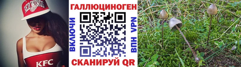 Псилоцибиновые грибы прущие грибы  Татарск 